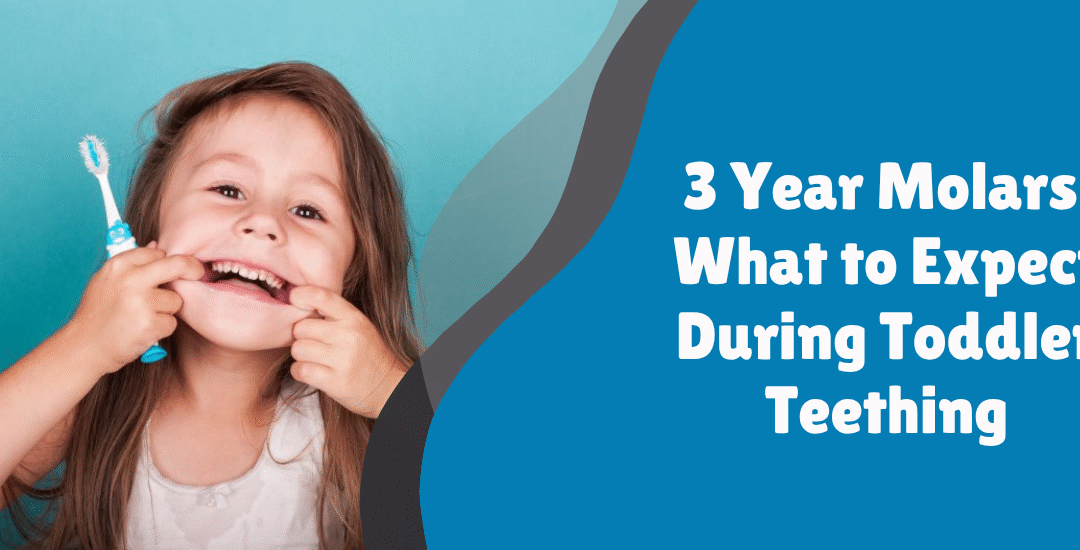 3 Year Molars: What to Expect During Toddler Teething